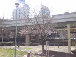 東横堀公園