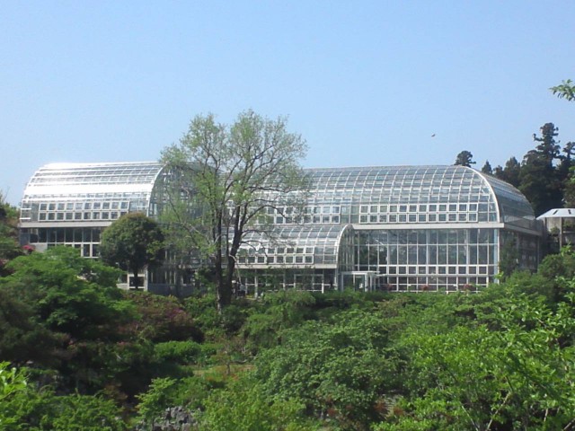 牧野植物園温室