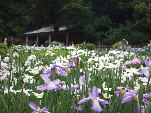 城北植物園