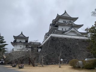 今日は一転ニンニン…　～ その 2 ～