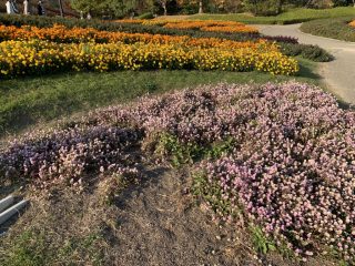 奈良県営馬見丘陵公園