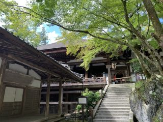 石山寺　～ 2024 滋賀 その 5 ～