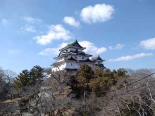 和歌山城へ ～和歌山 202502 その 6 ～