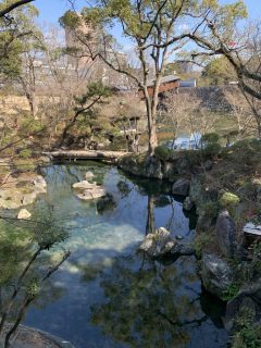 和歌山城公園 ～和歌山 202502 その 7 ～